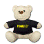 kleiner Teddybär mit T-Shirt